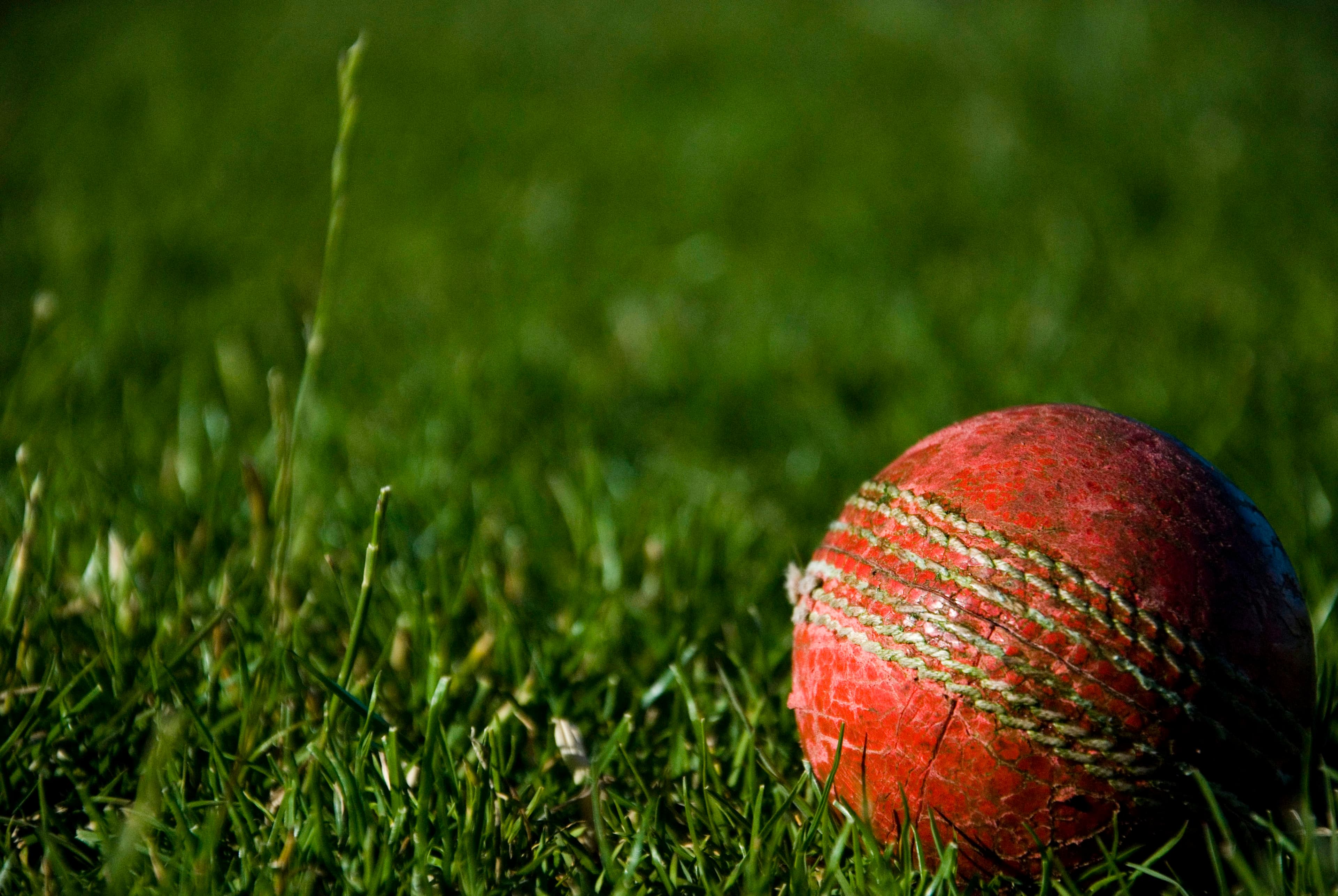 দেশের ক্রিকেটে নতুন মুখের অভিষেক